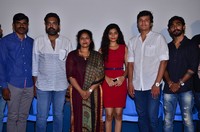 Nenu Kidnap Ayya Movie Success Meet Stills